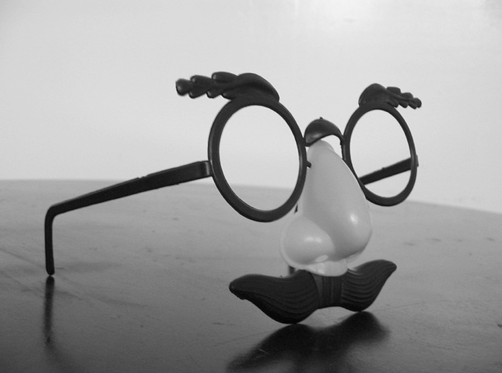 Disguise/glasses with nose
