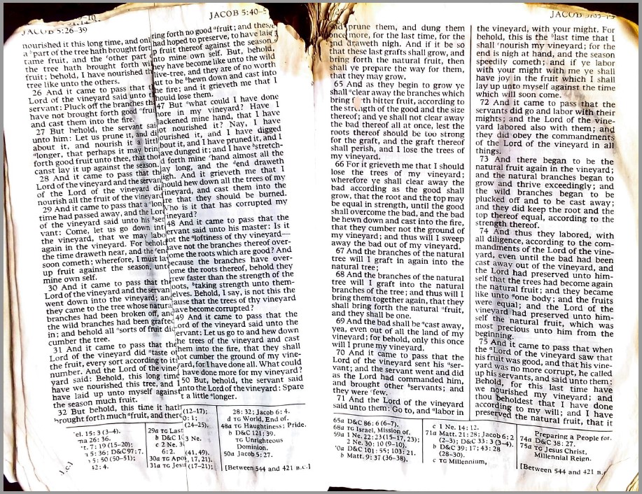 Agnes's Book of Mormon that did not burn in a fire