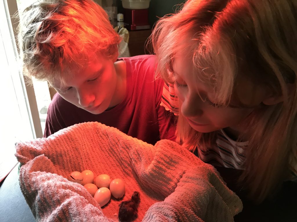 kids with eggs